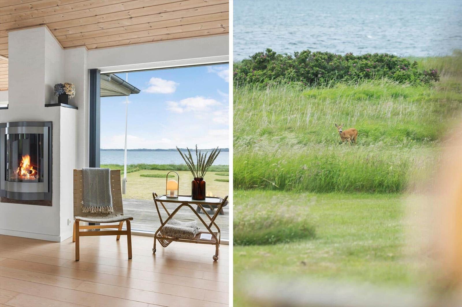 Ein Raum mit Kamin und Blick auf Wasser. Ein Hirsch im Gras am Ufer.