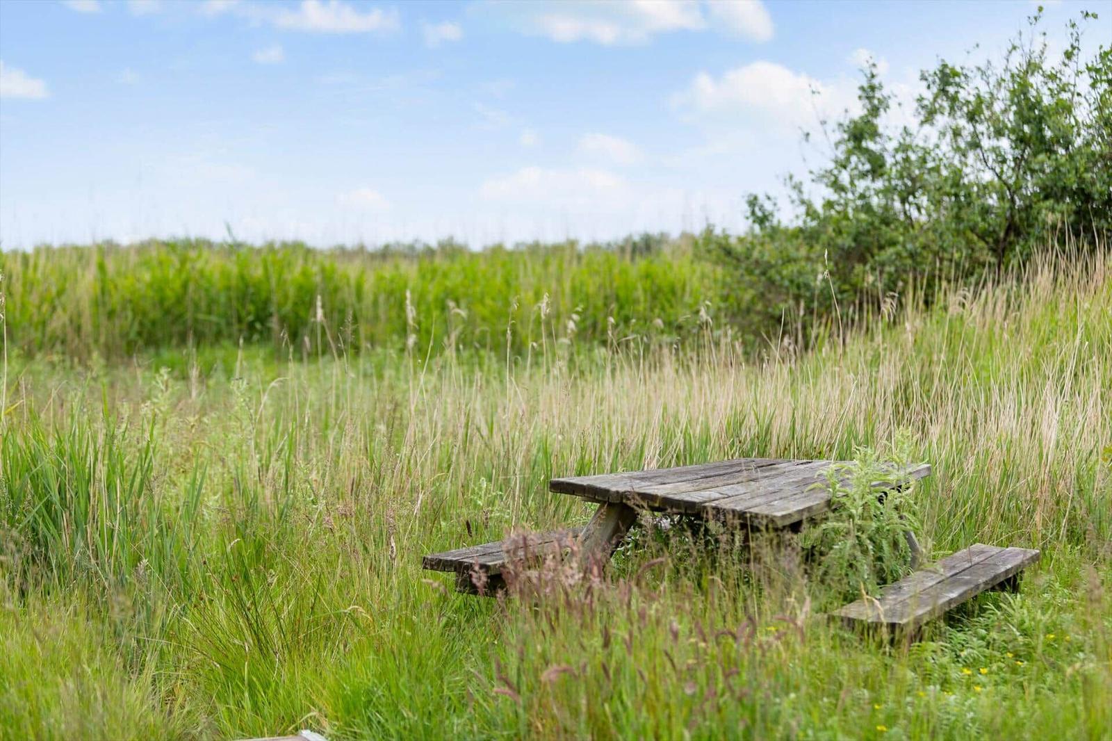 Holzpicknicktisch in einer grünen Wiese unter blauem Himmel mit Wolken.