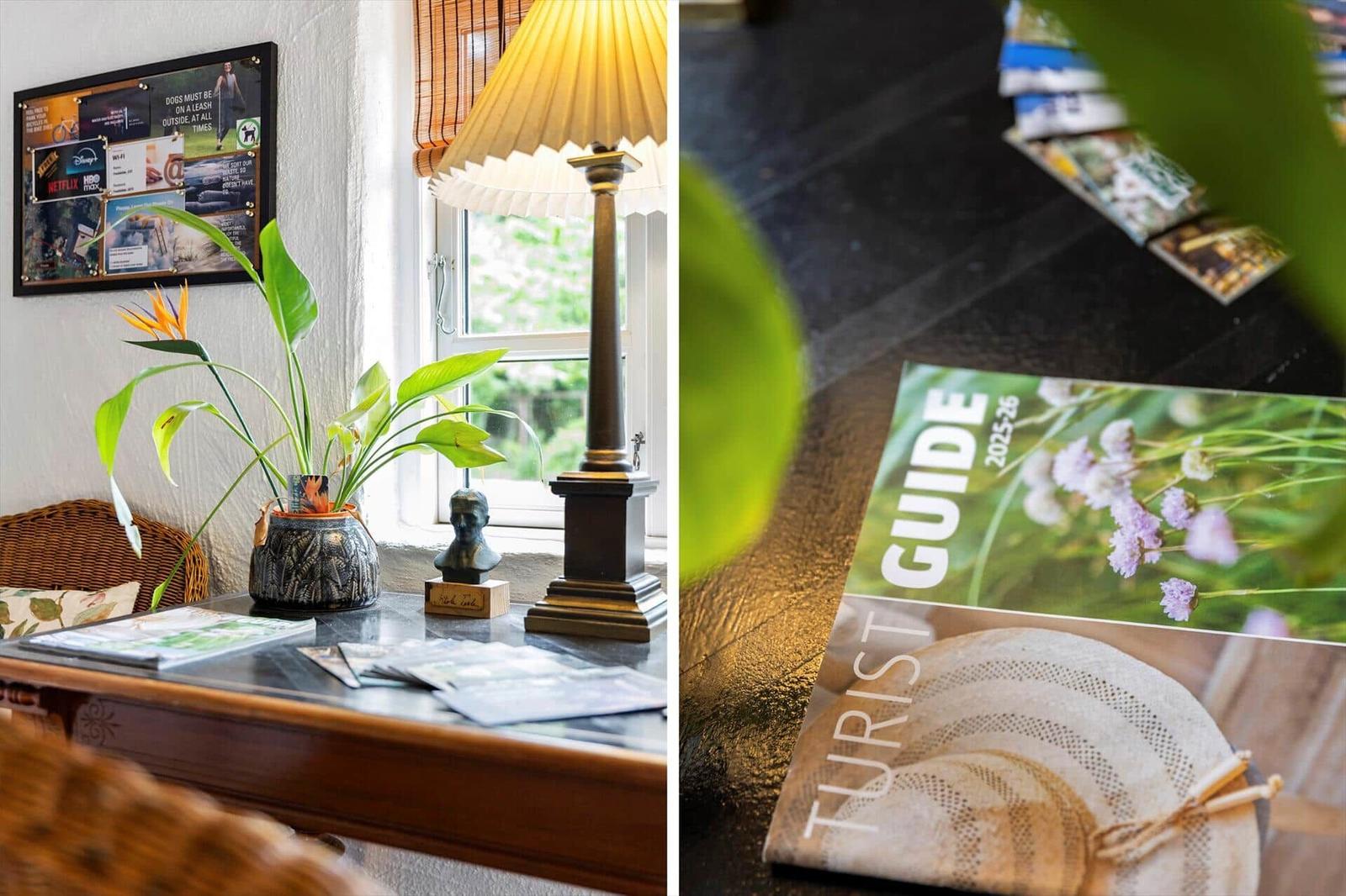 Tisch mit Pflanze, Lampe und Touristenführer. Wand mit Informationsplakaten.