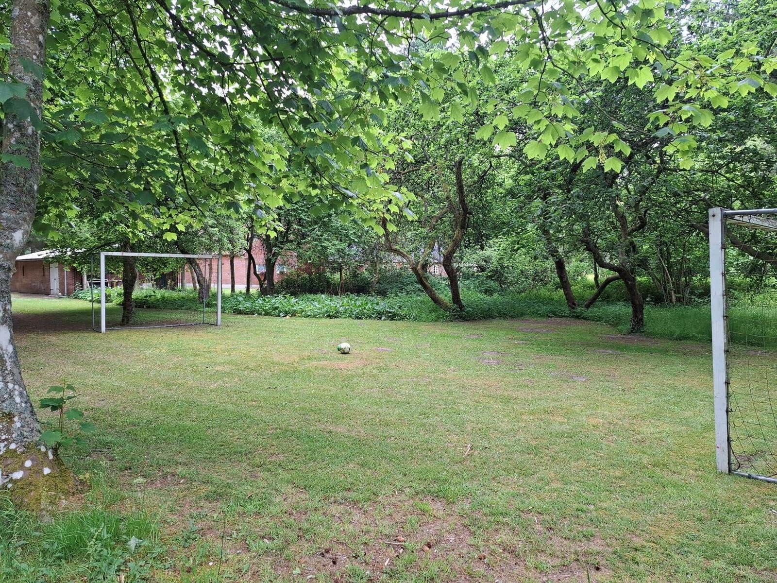 Grüner Rasenplatz mit Fußballtor und Ball unter Bäumen.