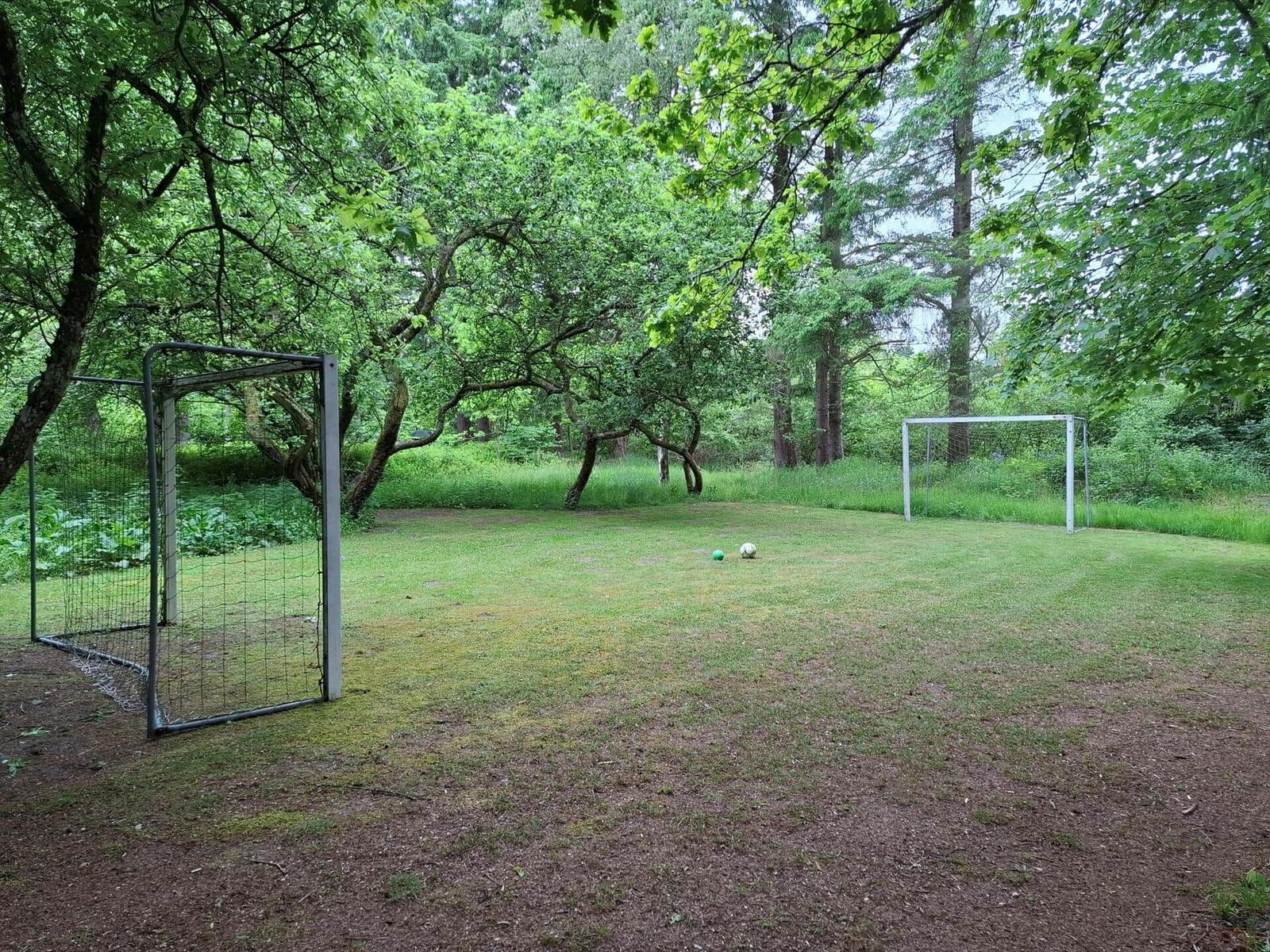 Grüner Rasenbereich mit zwei Fußballtoren und zwei Bällen zwischen Bäumen.