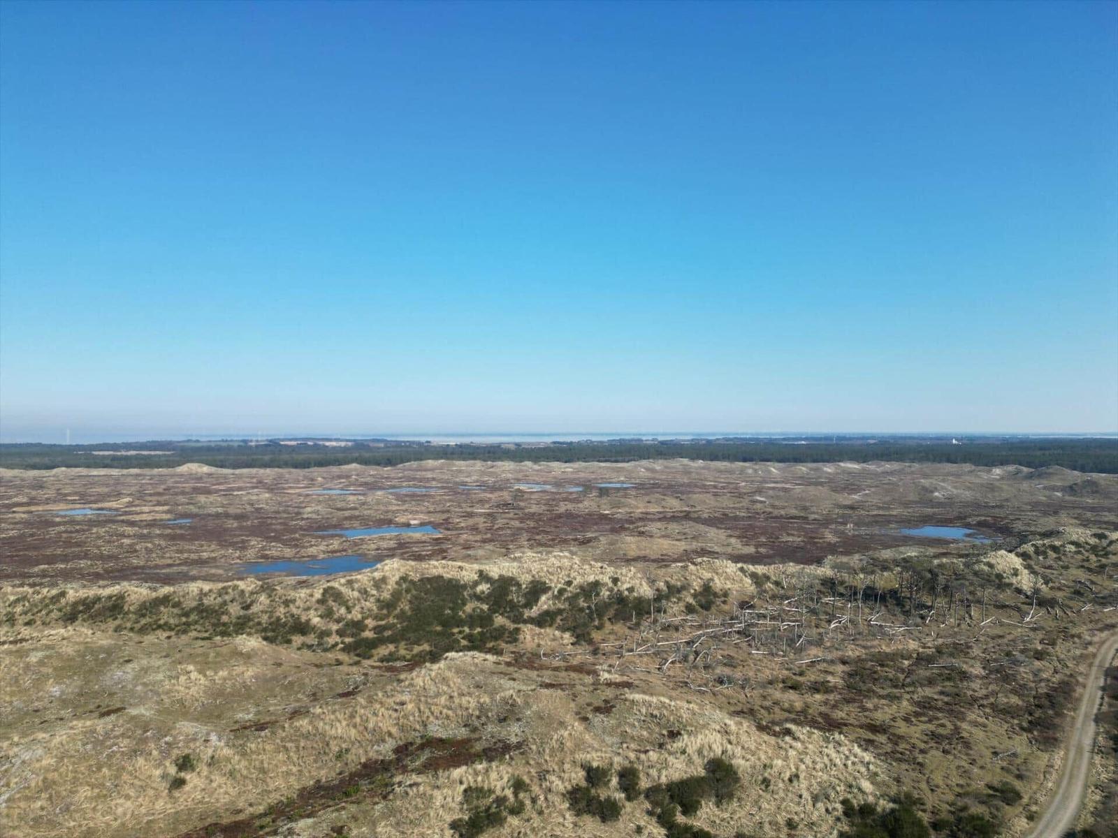 Weitläufige Landschaft mit Mooren und Wasserstellen unter klarem Himmel.