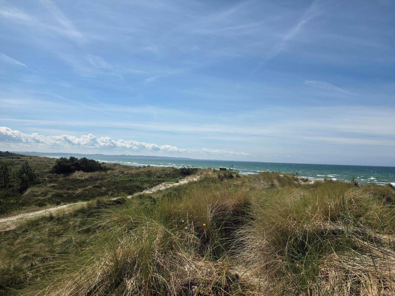 Weg durch Dünen zum Meer unter blauem Himmel mit weißen Wolken.