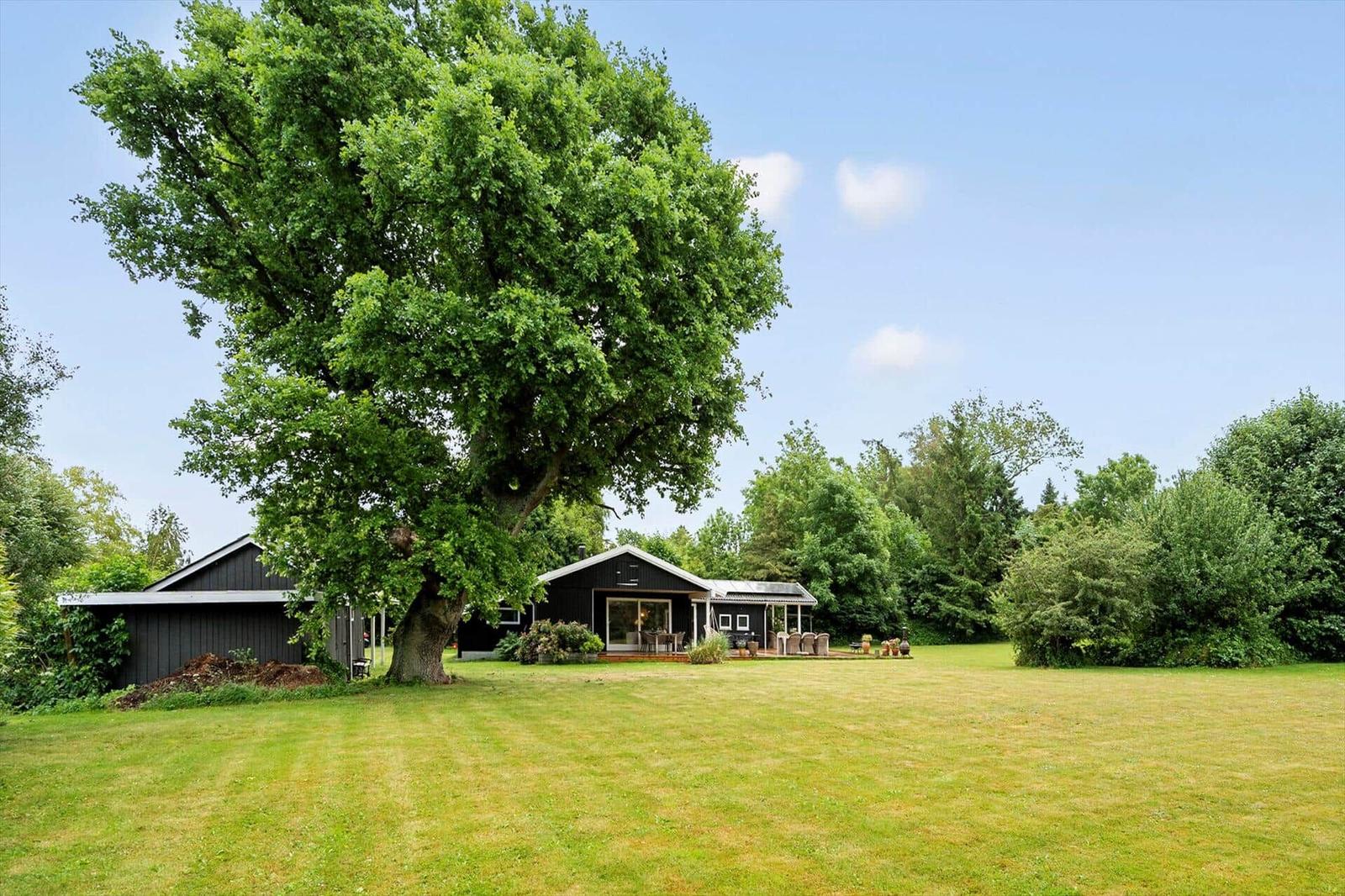 Schwarzes Haus mit großem Garten und hohem Baum. Terrasse mit Sitzgelegenheiten.