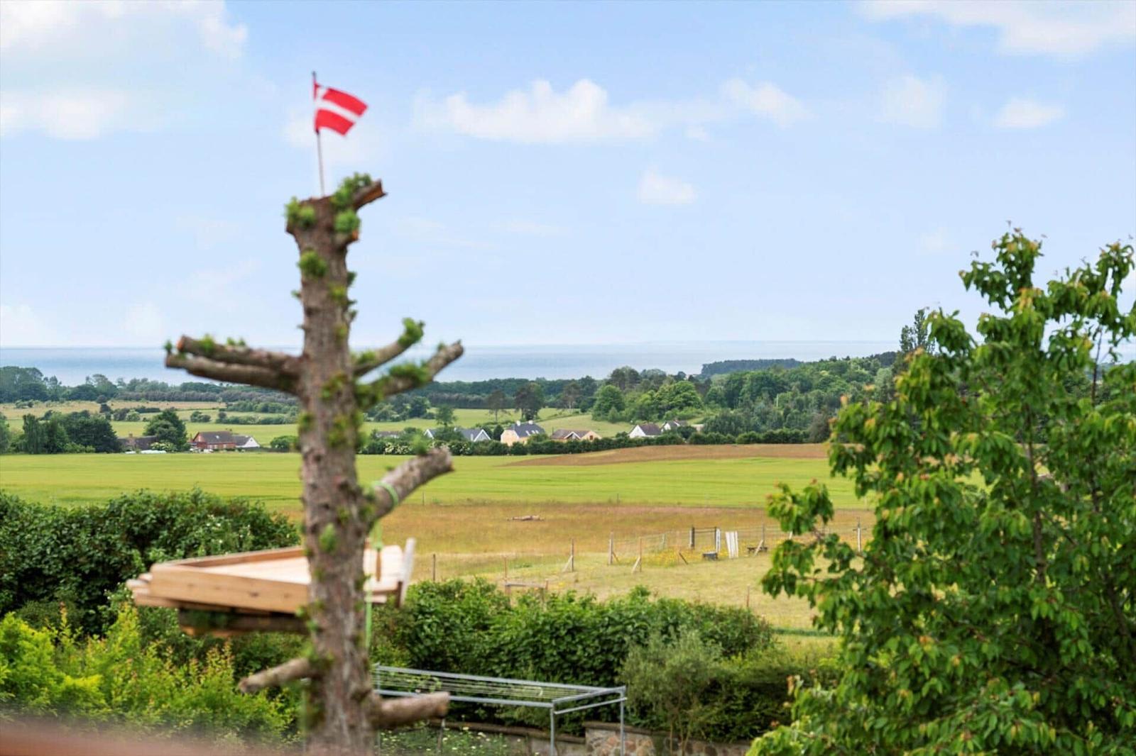 Ein Blick auf grüne Felder, Häuser und das Meer mit einer dänischen Flagge auf einem Baum.