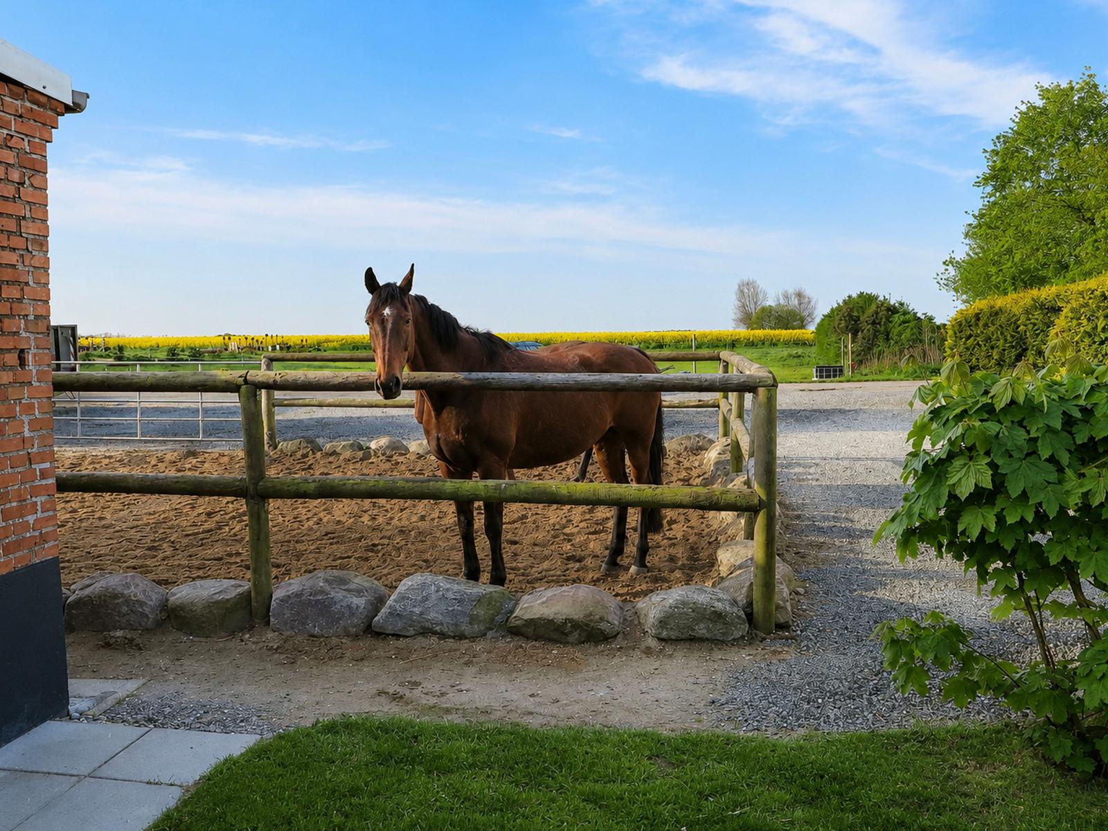 Ein braunes Pferd steht in einem sandigen Reitplatz hinter einem Holzzaun.