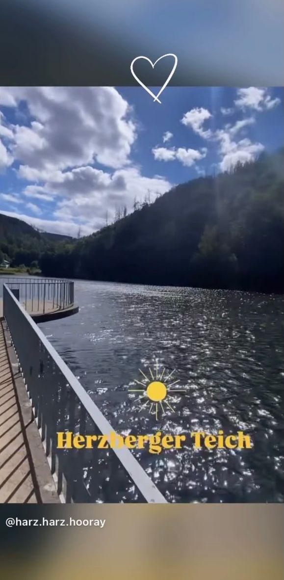 Der Herzberger Teich — idyllisch, direkt am Rammelsberg in Goslar