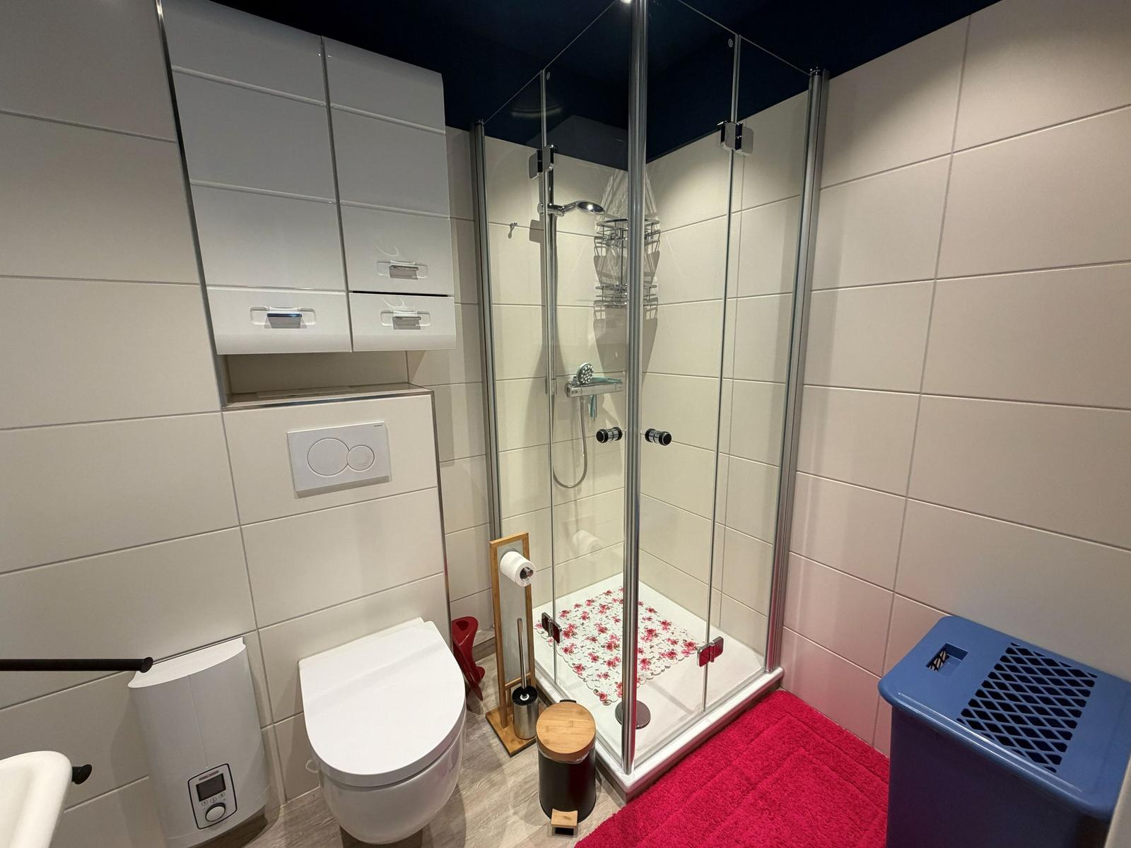 Badezimmer mit Dusche, WC und Aufbewahrungskabinen an der Wand.