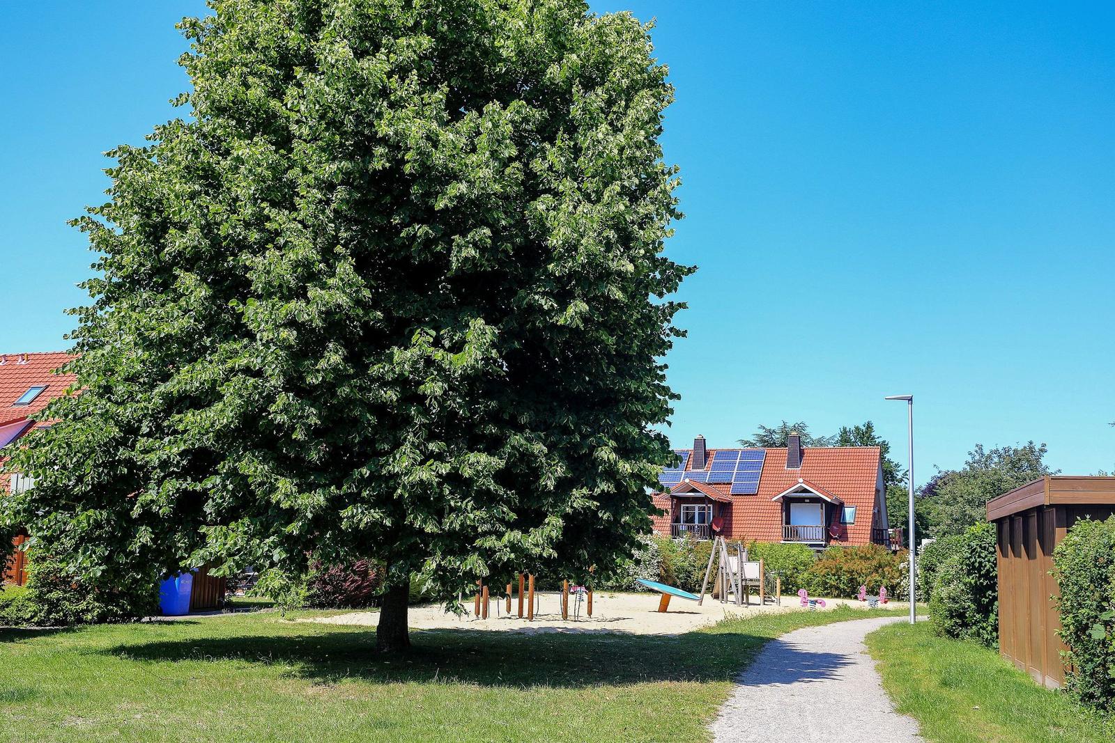 Großer Baum im Vordergrund, Spielplatz und rotes Haus mit Solaranlage im Hintergrund.