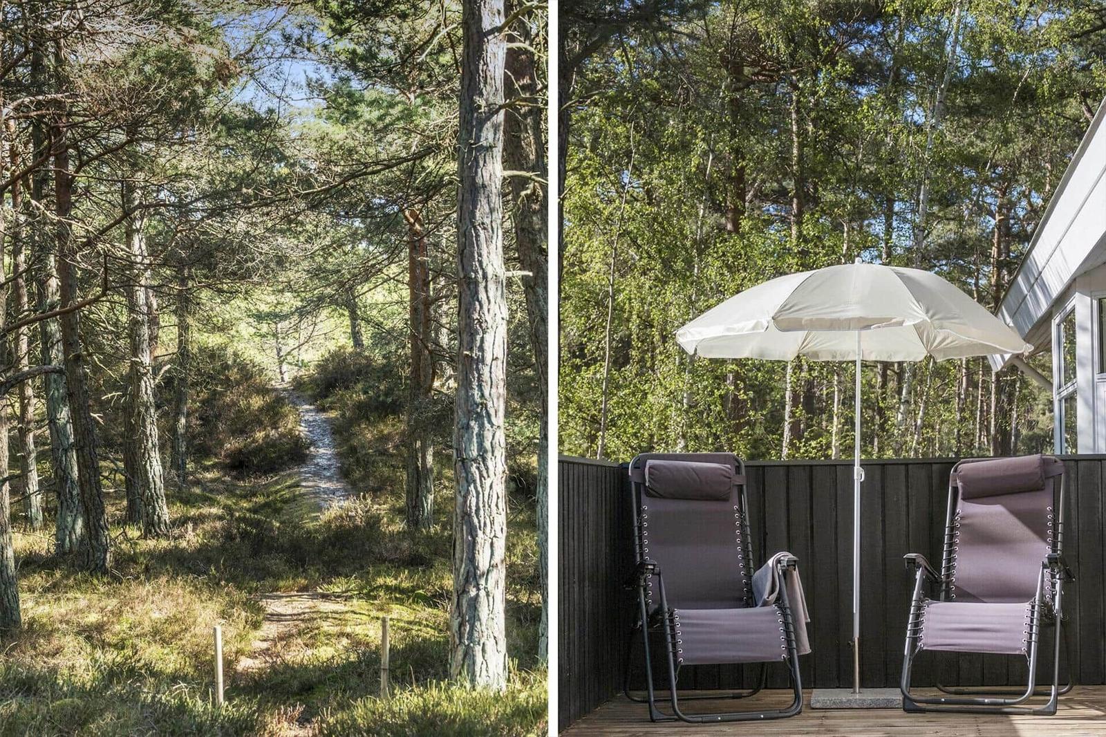 Waldweg mit Blick auf Terrasse mit zwei Liegestühlen und Sonnenschirm.
