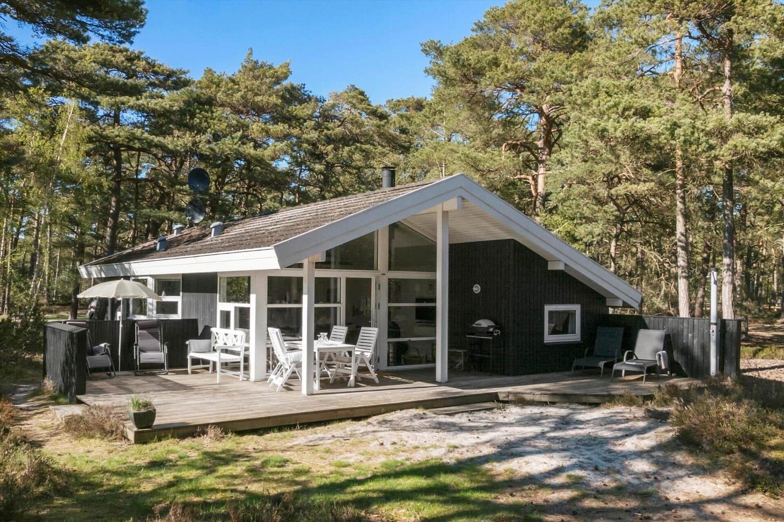 Hütte mit Terrasse, Gartenmöbeln und Grill. Umgeben von Nadelbäumen.