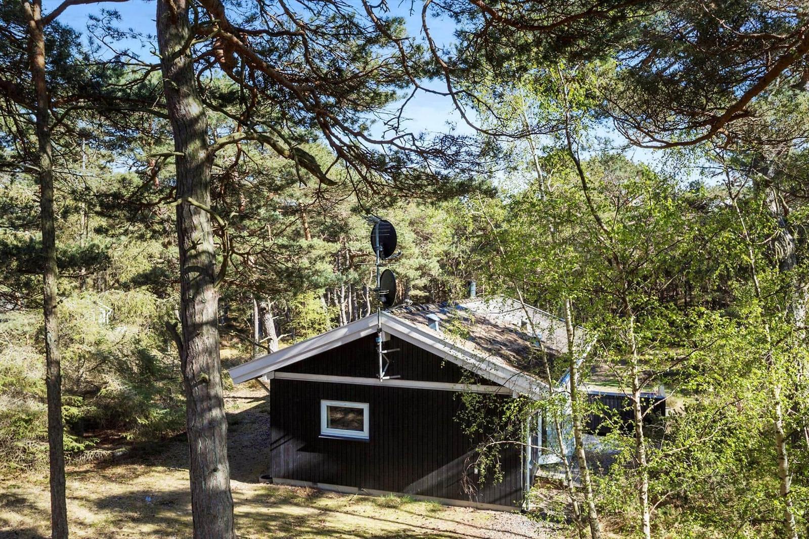 Schwarze Hütte mit weißem Dachrand, umgeben von Bäumen und Sträuchern.