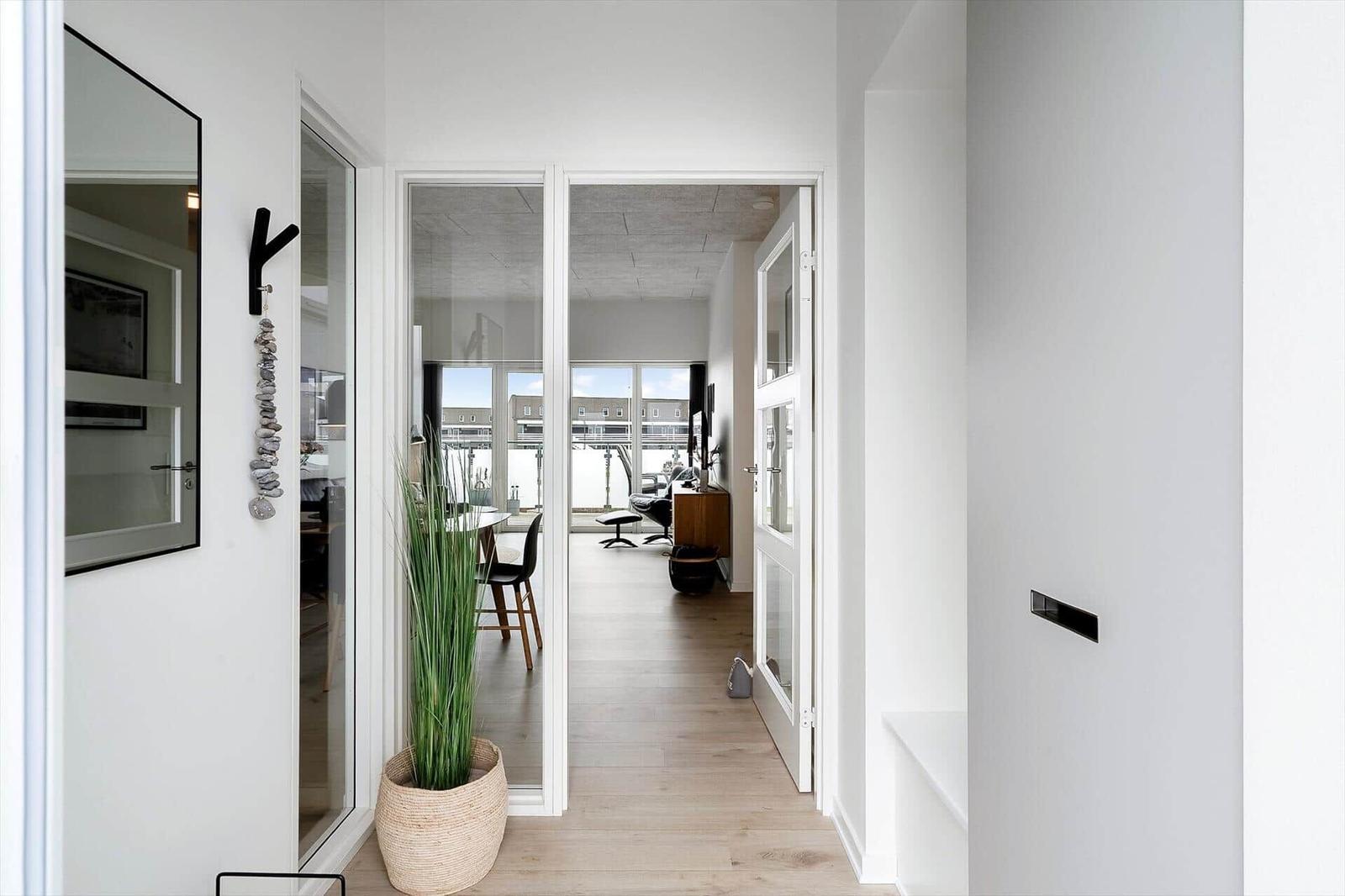 Haus mit modernem Eingangsbereich, Glaswand und Pflanze. Blick in Wohnbereich mit Balkon.