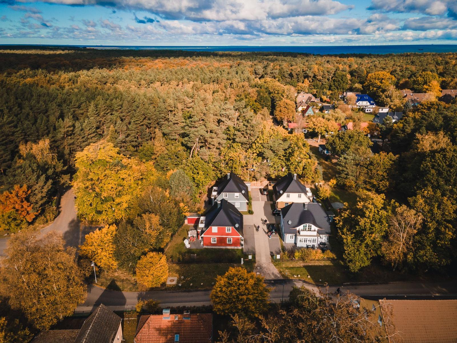 Aerial view of houses surrounded by forest with sea in background.