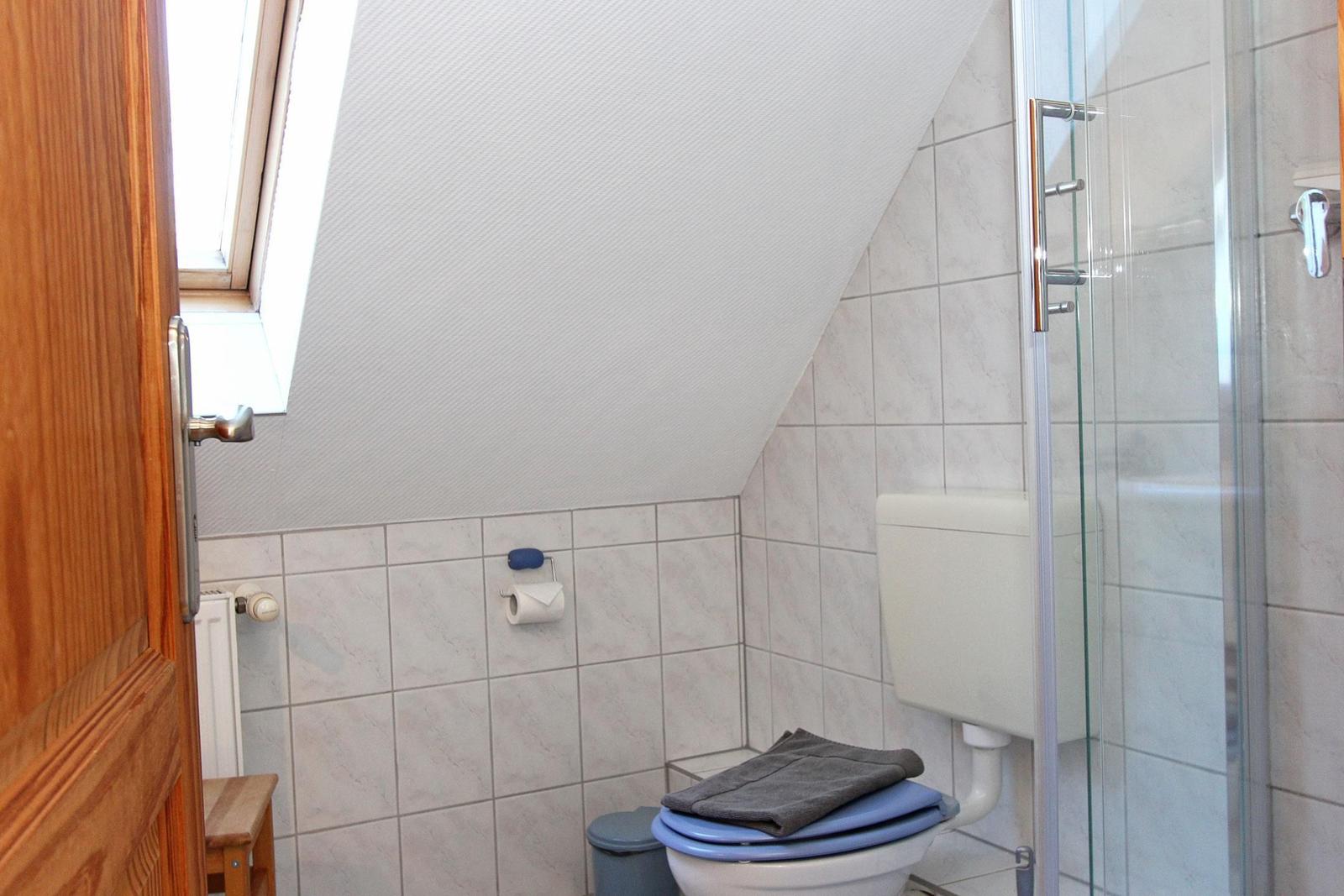 Badezimmer mit Dusche, Toilette und Dachfenster. Wandfliesen und Holztür.