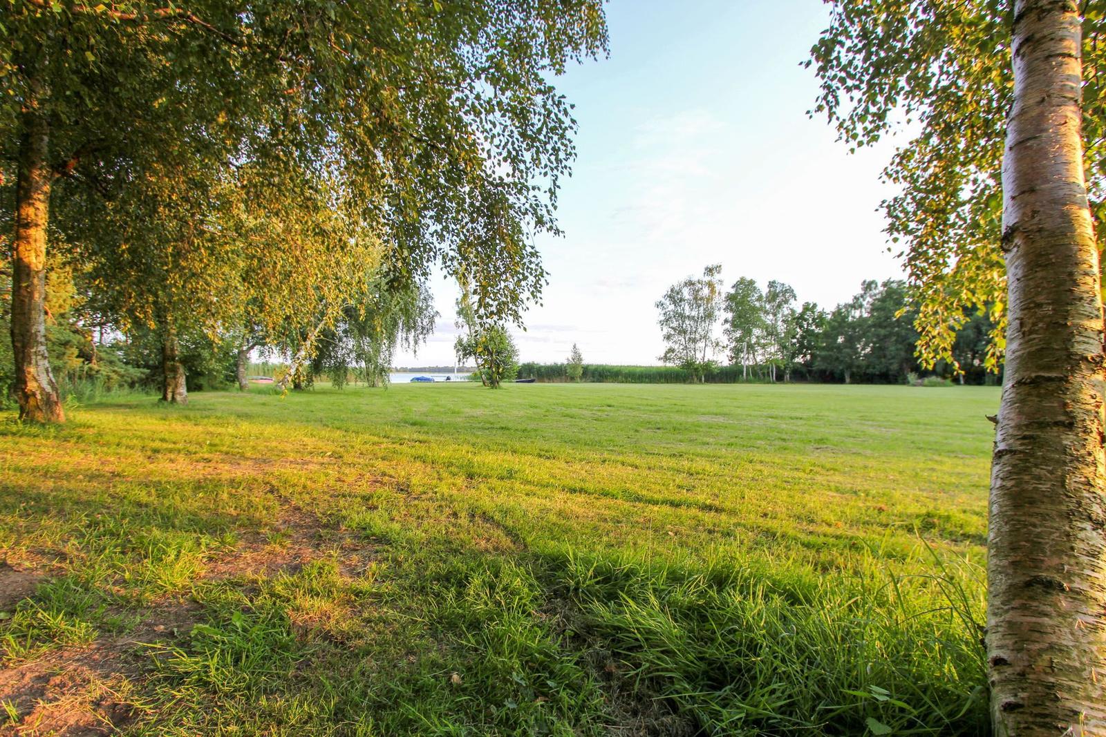 Grünes Feld mit Bäumen und Blick auf einen See