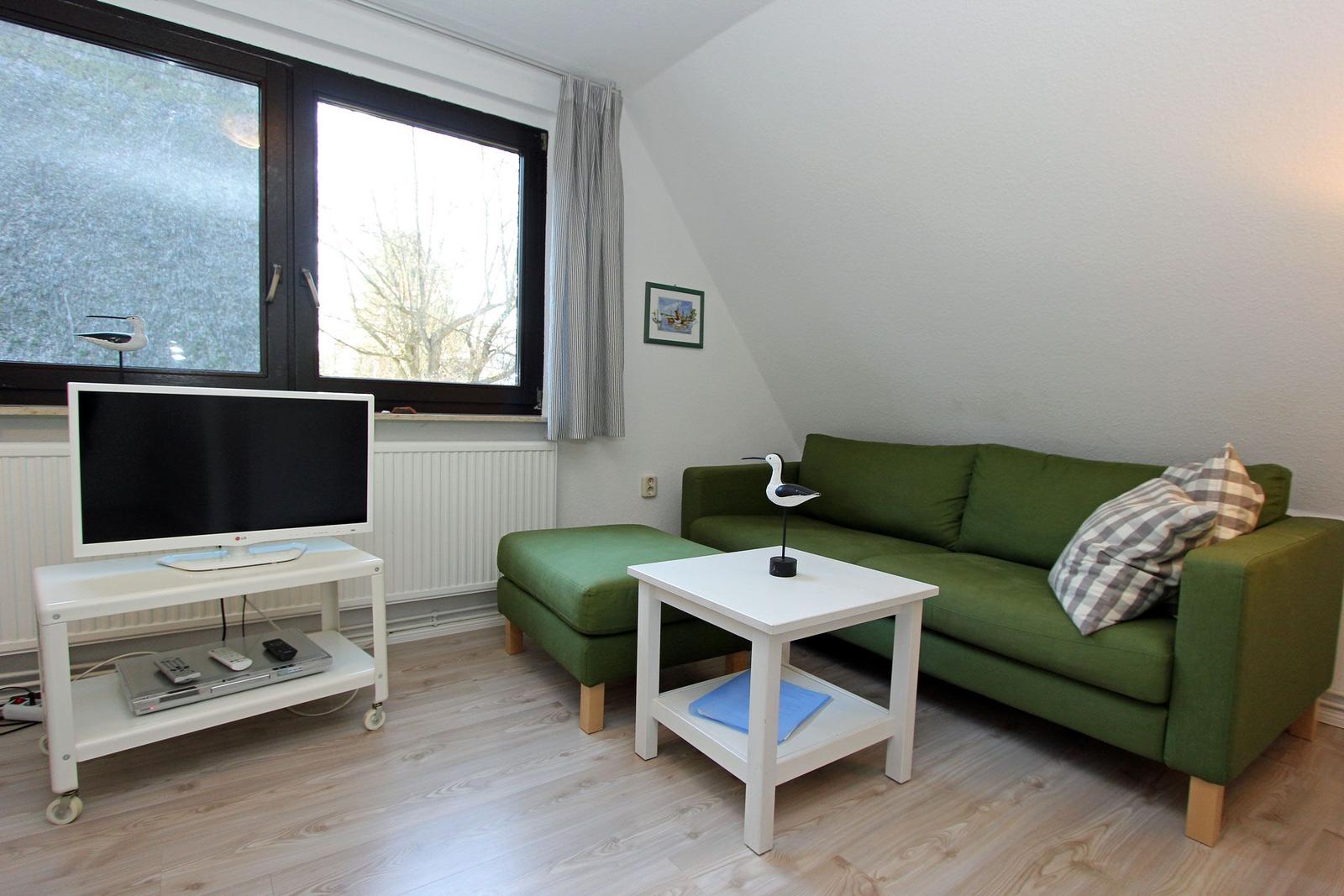 Ein Wohnzimmer mit grünem Sofa, weißem Couchtisch und Fernseher. Fenster mit Blick nach draußen.