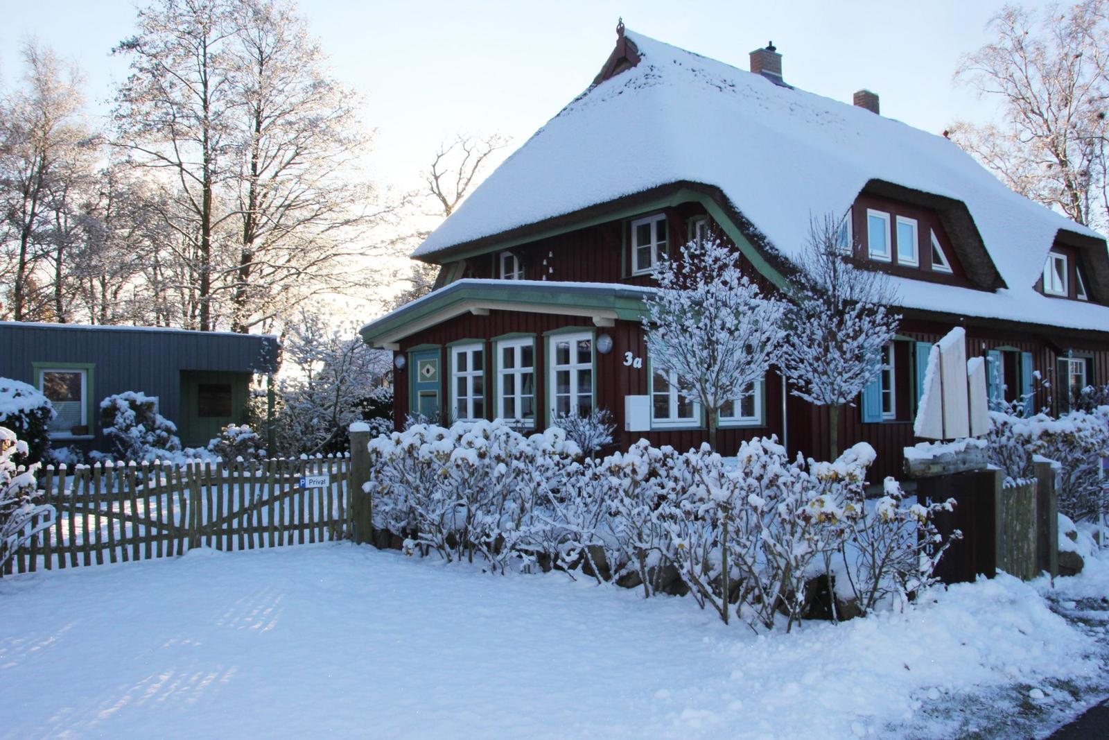 Schneebedecktes Haus mit grünem Dach und Fenstern, umgeben von Bäumen und Sträuchern.