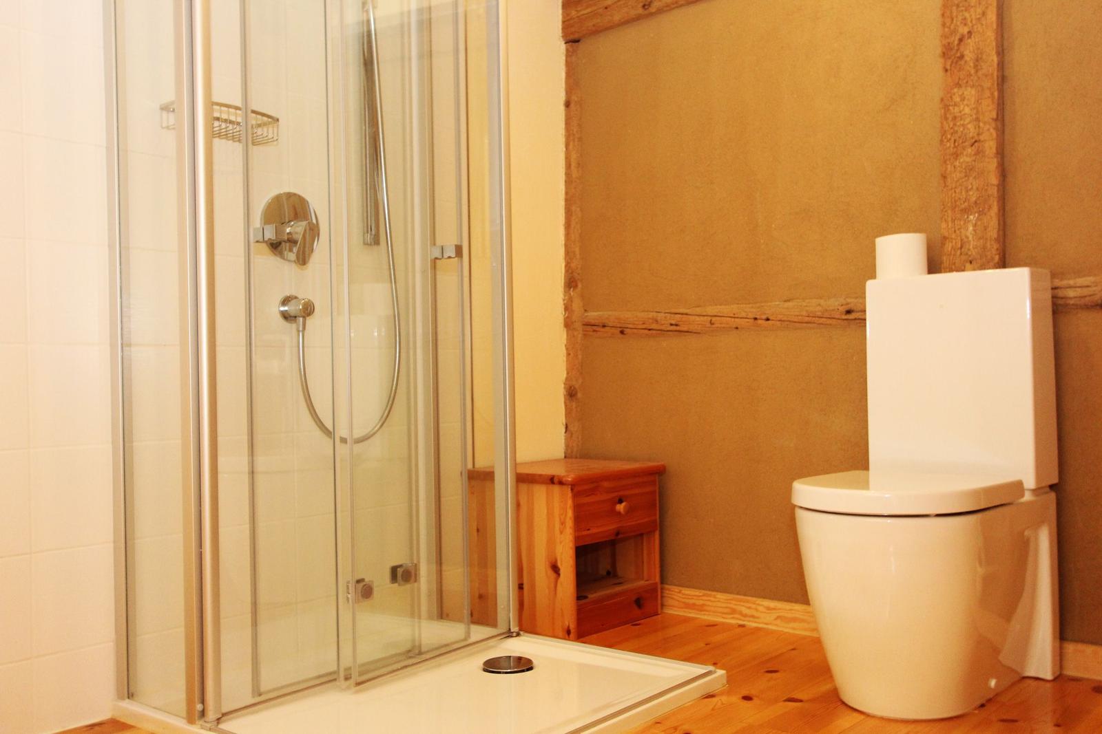 Dusche mit Glaswand, Toilette und kleiner Holzbank.