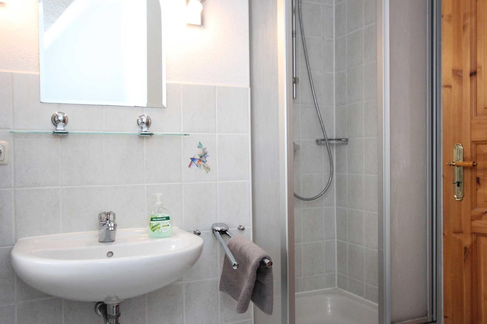 Badezimmer mit Waschbecken, Spiegel und Dusche mit Glaswand.
