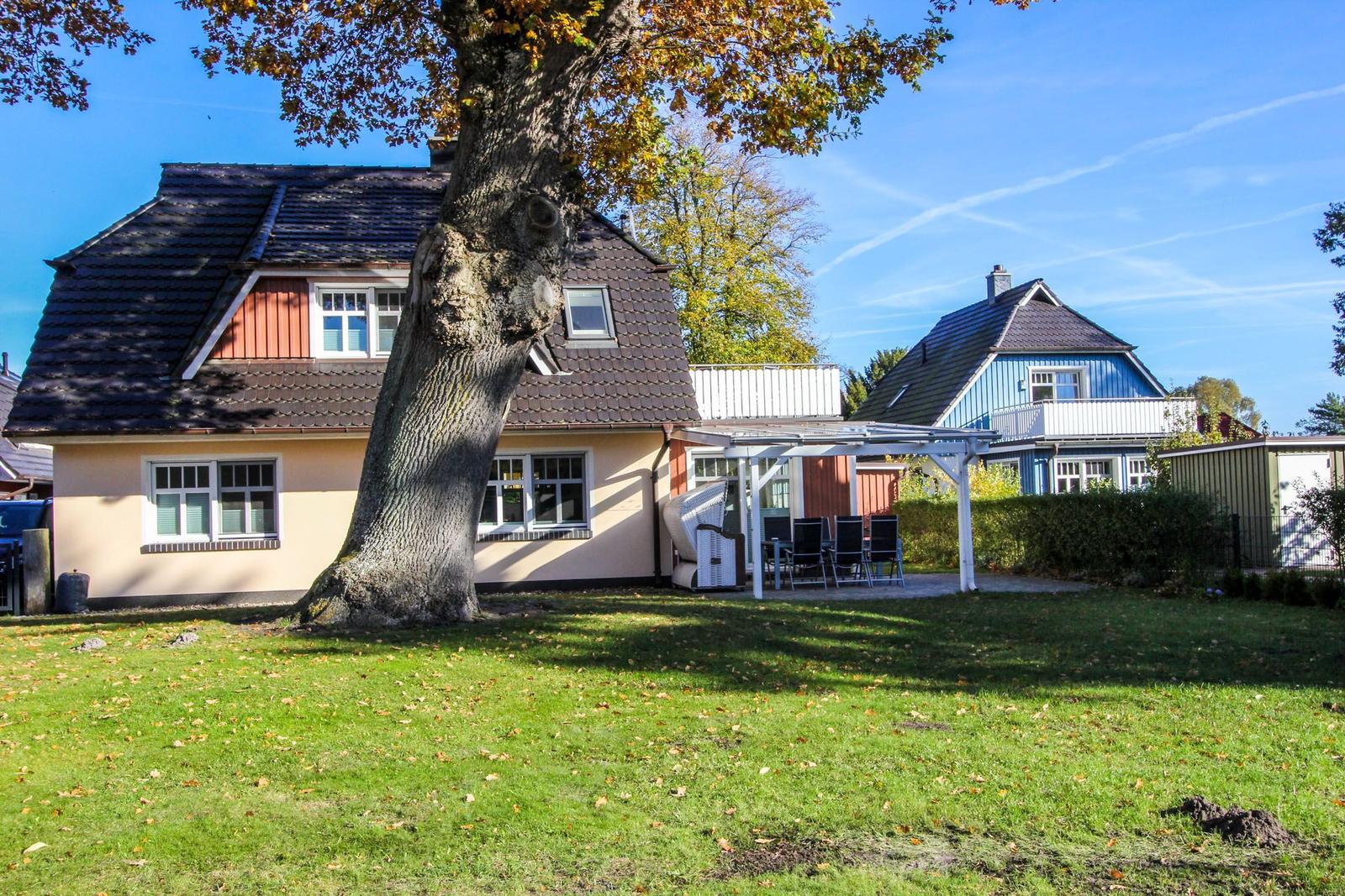 Haus mit großem Garten und Terrasse unter einem großen Baum.
