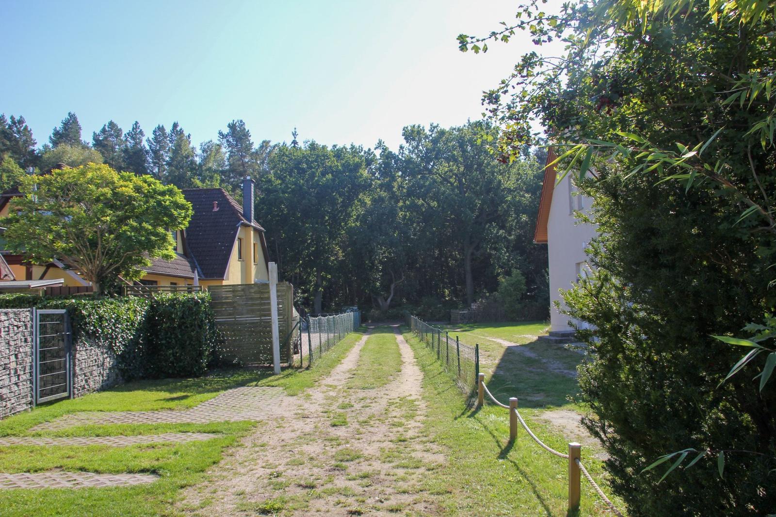 Ein Weg führt durch einen grünen Garten zwischen Häusern und Bäumen.