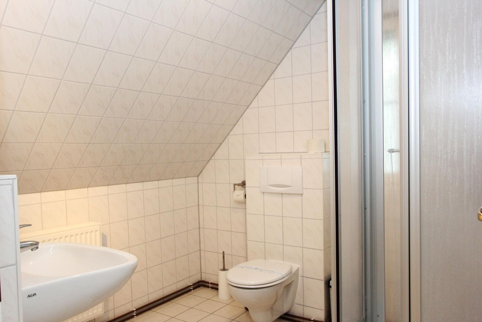 Badezimmer mit Toilette, Waschbecken und Dusche unter schrägem Dach