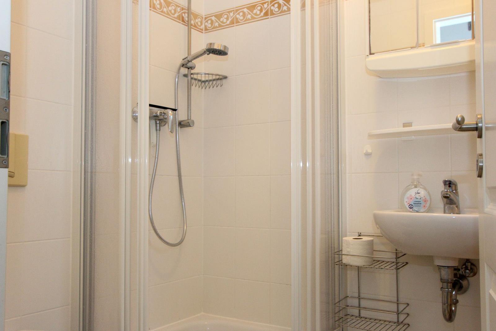 Badezimmer mit Dusche, Waschbecken und Spiegelschrank
