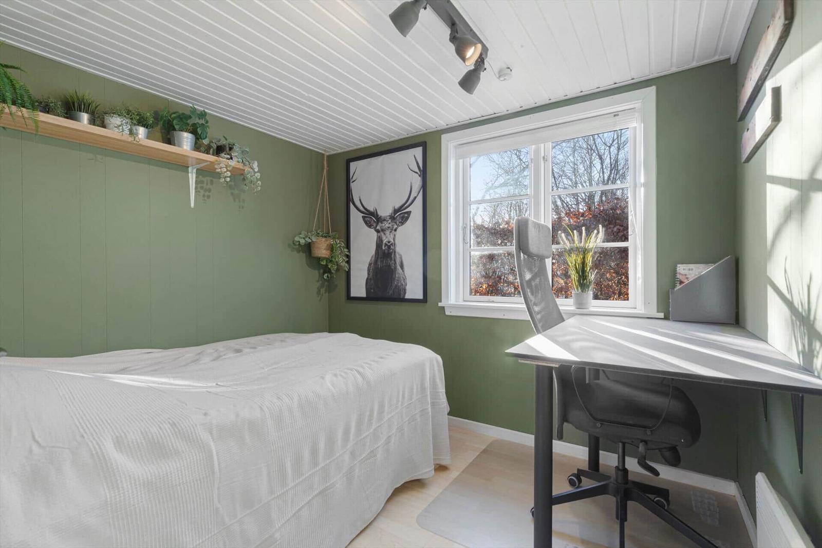 Schlafzimmer mit Bett, Schreibtisch und Fenster. Wandfarbe grün, Decke weiß. Pflanzen und Bild an der Wand.