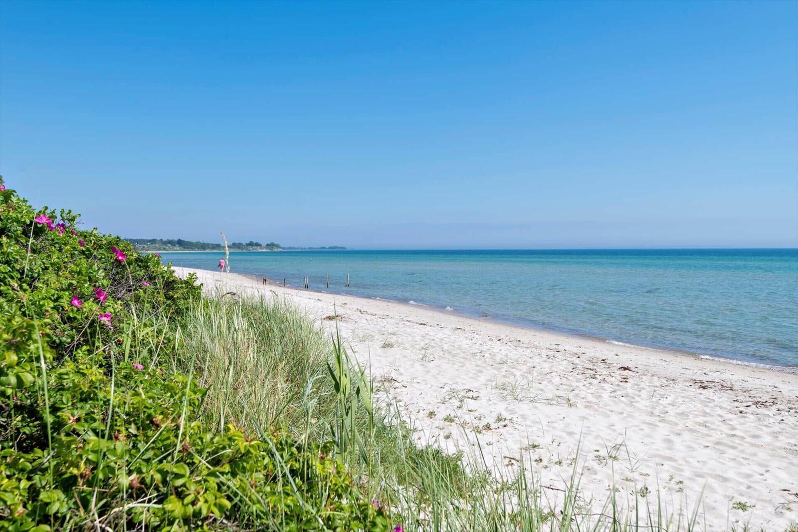 Weißer Sandstrand mit grüner Vegetation und blauem Meer unter klarem Himmel.