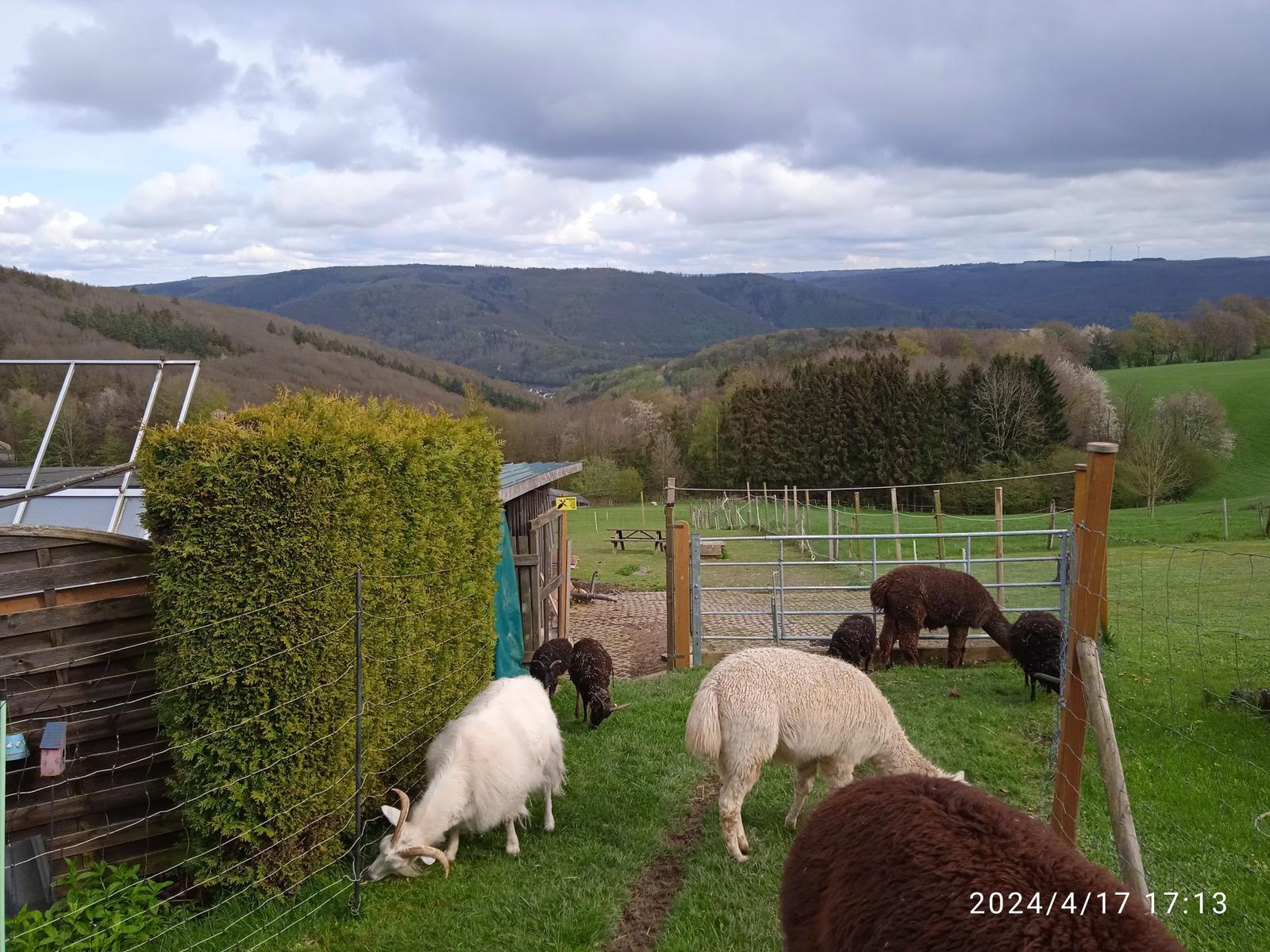 Die Aussicht vom Garten