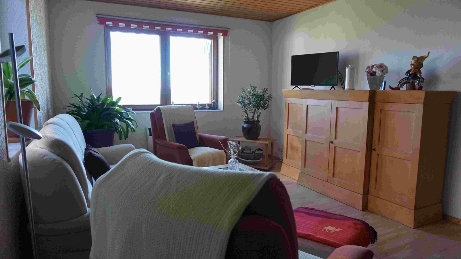 Wohnzimmer mit Sofa, Sessel, Fernseher und Pflanzen.
