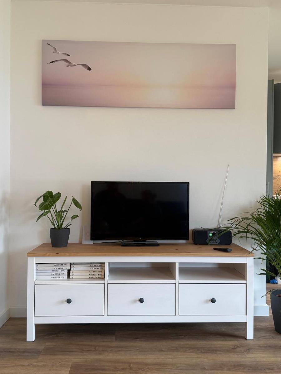 TV auf weißen Schrank mit Schubladen und Pflanzen. Wandbild mit Möwen.
