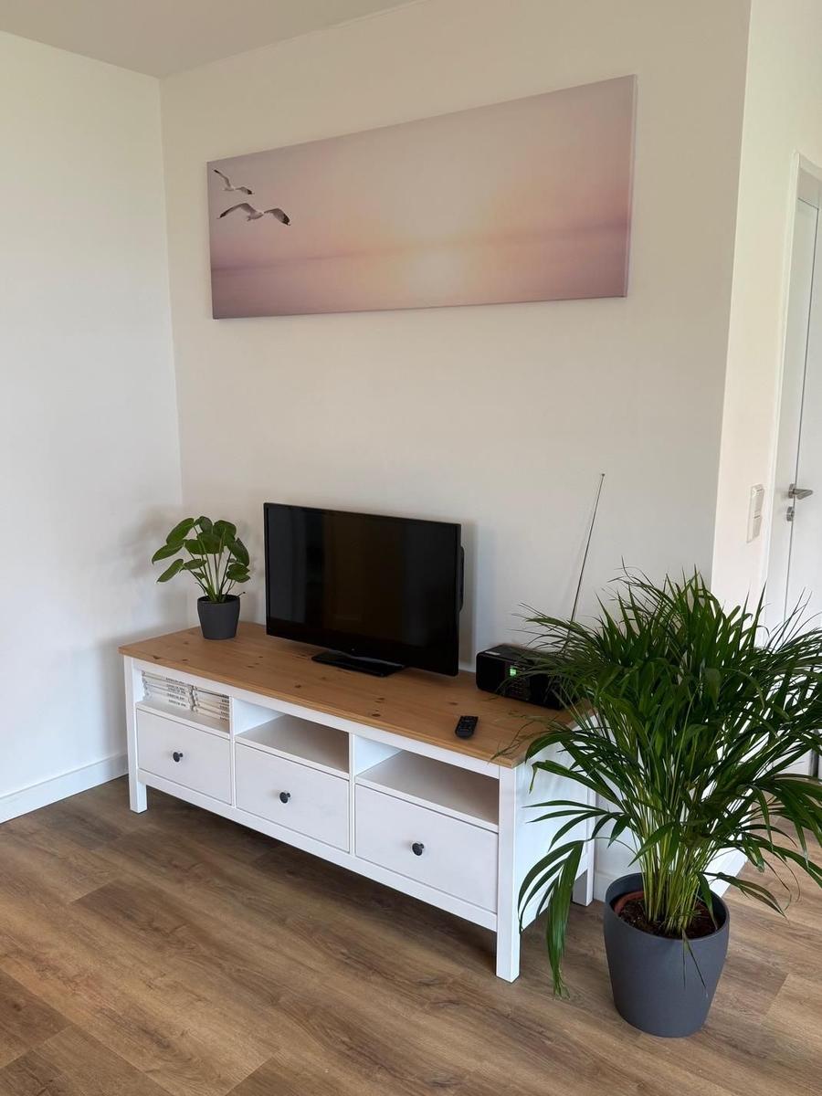 TV-Schrank mit Pflanzen und Wandbild