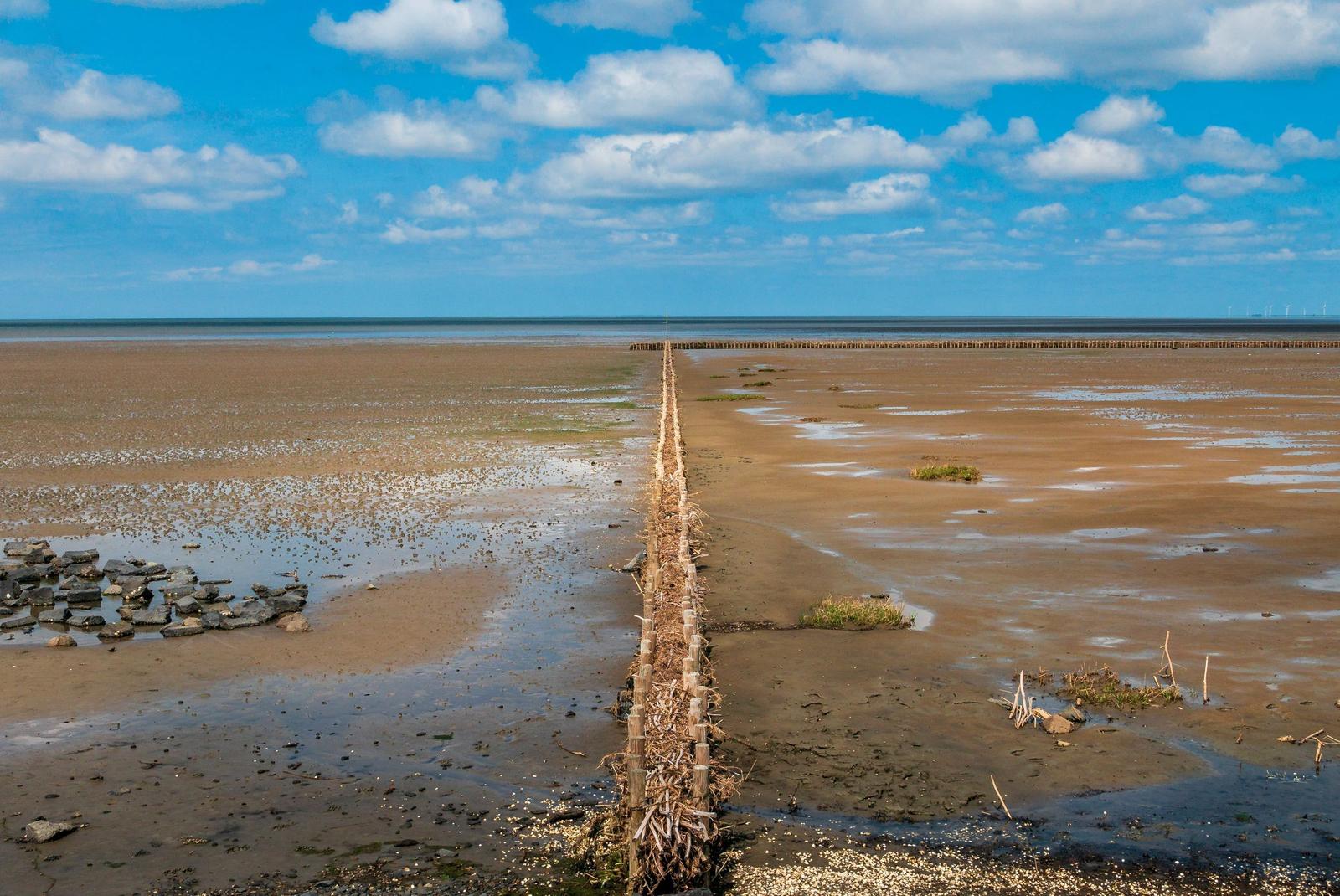 Mudflat mit Holzpfahlreihe und Windkraftanlagen am Horizont.