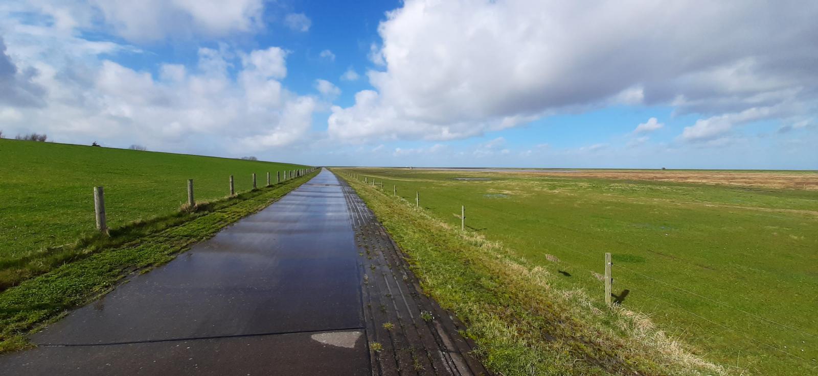 Gerader Weg durch grüne Felder unter blauem Himmel mit weißen Wolken.
