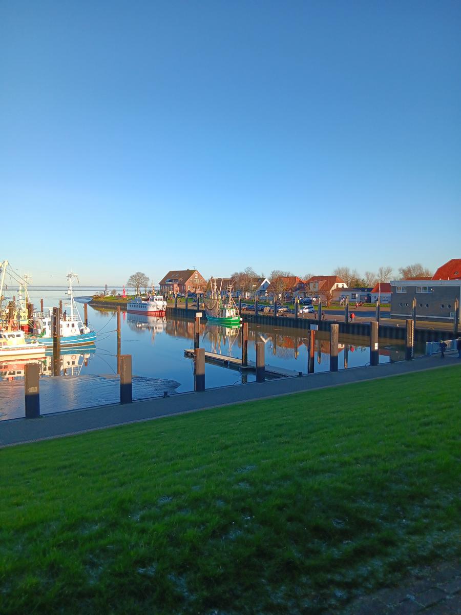 Hafen mit Booten, grüner Rasen und Häusern am Wasser.