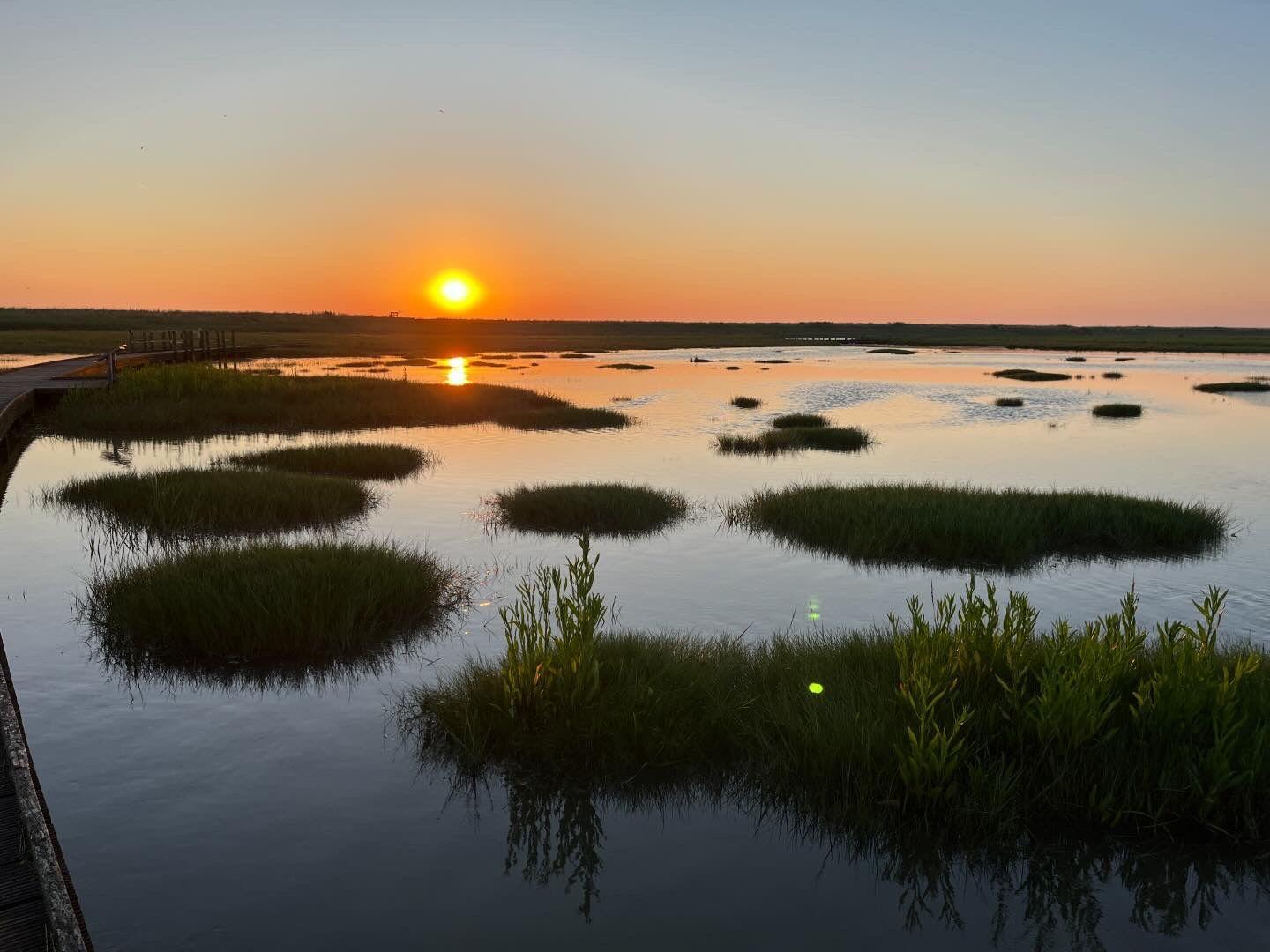 Sonnenuntergang über einem ruhigen Gewässer mit Grasinseln und einer Holzbrücke.