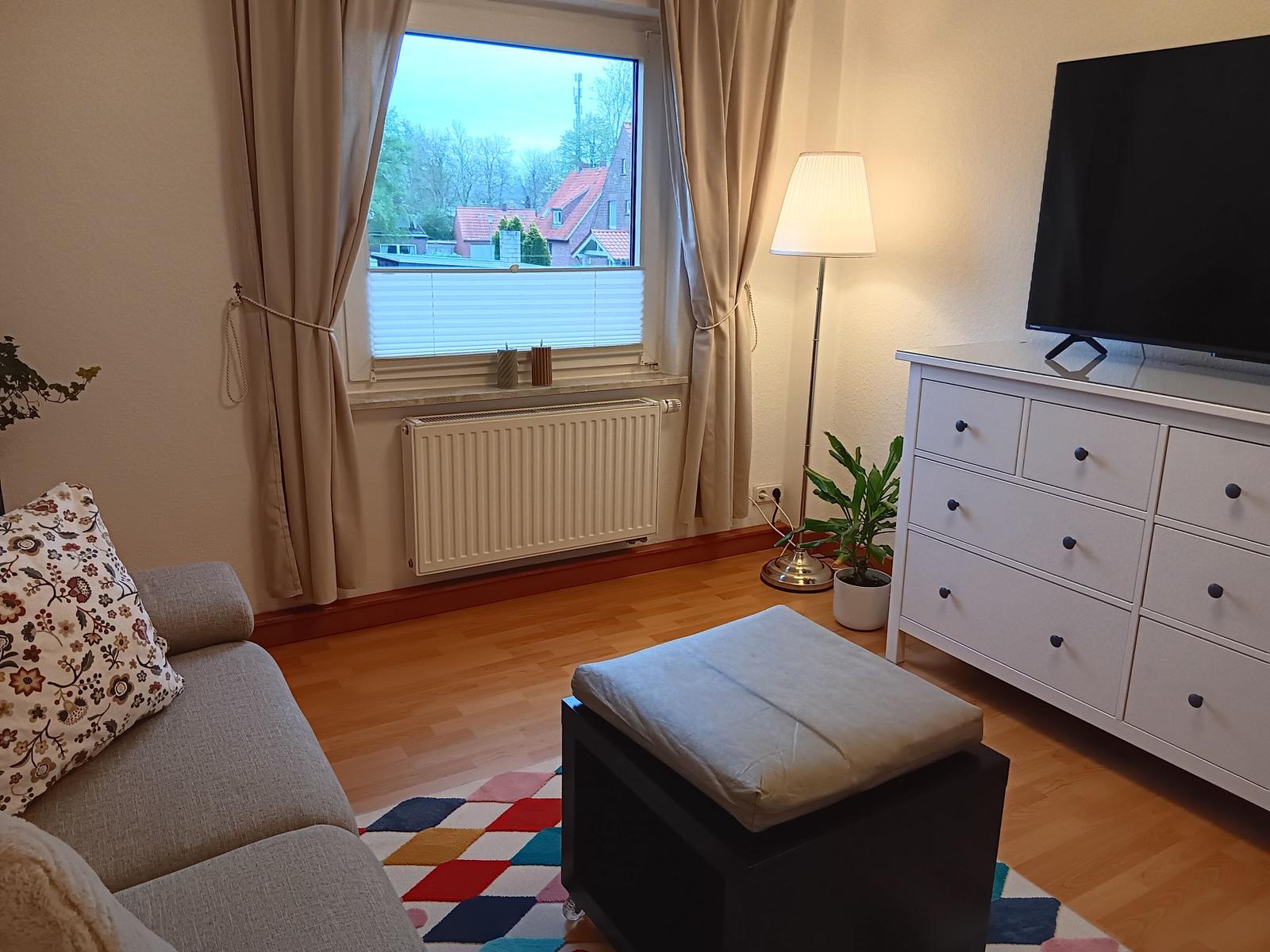 Wohnzimmer mit Sofa, Fernseher und Fensterblick auf Häuser