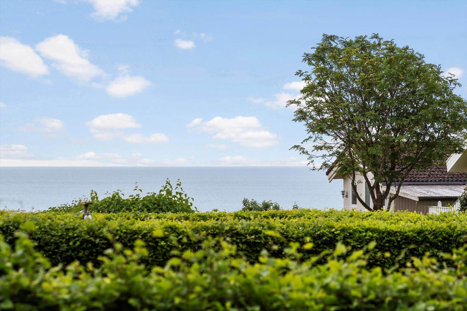Haus mit Blick auf das Meer und grüne Hecke