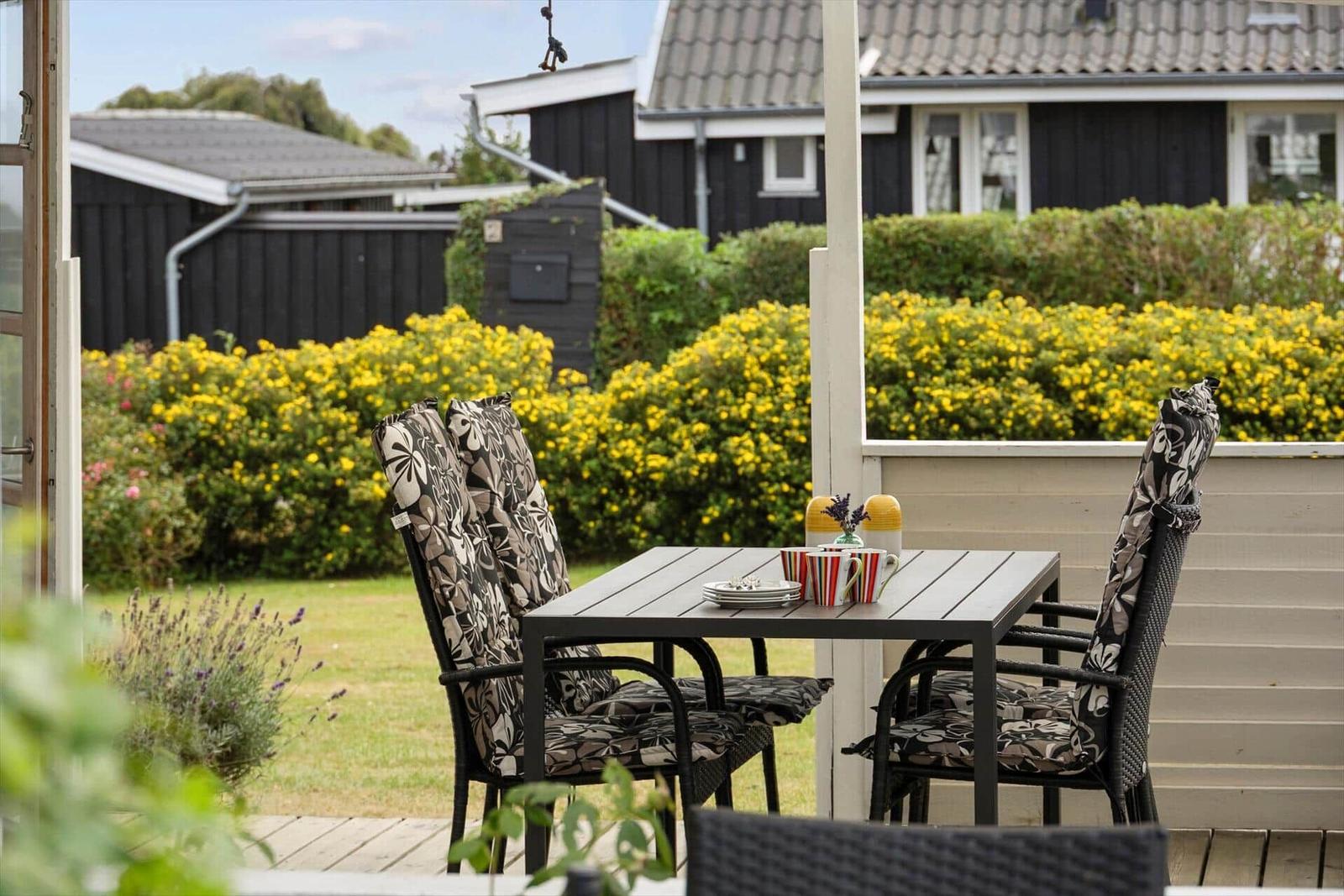 Terrasse mit Tisch und Stühlen, Blick auf grünen Garten und gelbe Hecken.