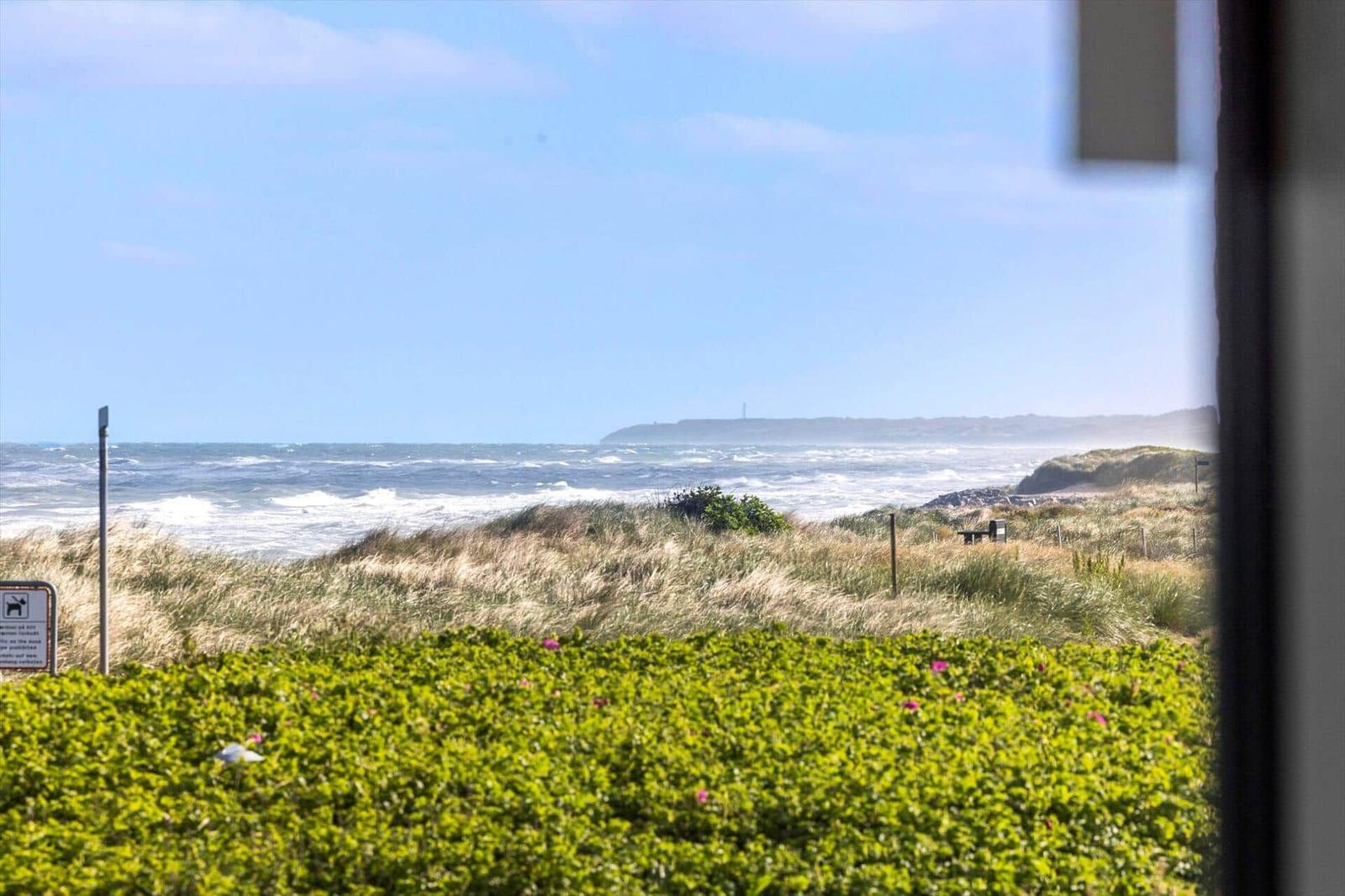 Ausblick auf das Meer mit Dünen und grüner Vegetation im Vordergrund.