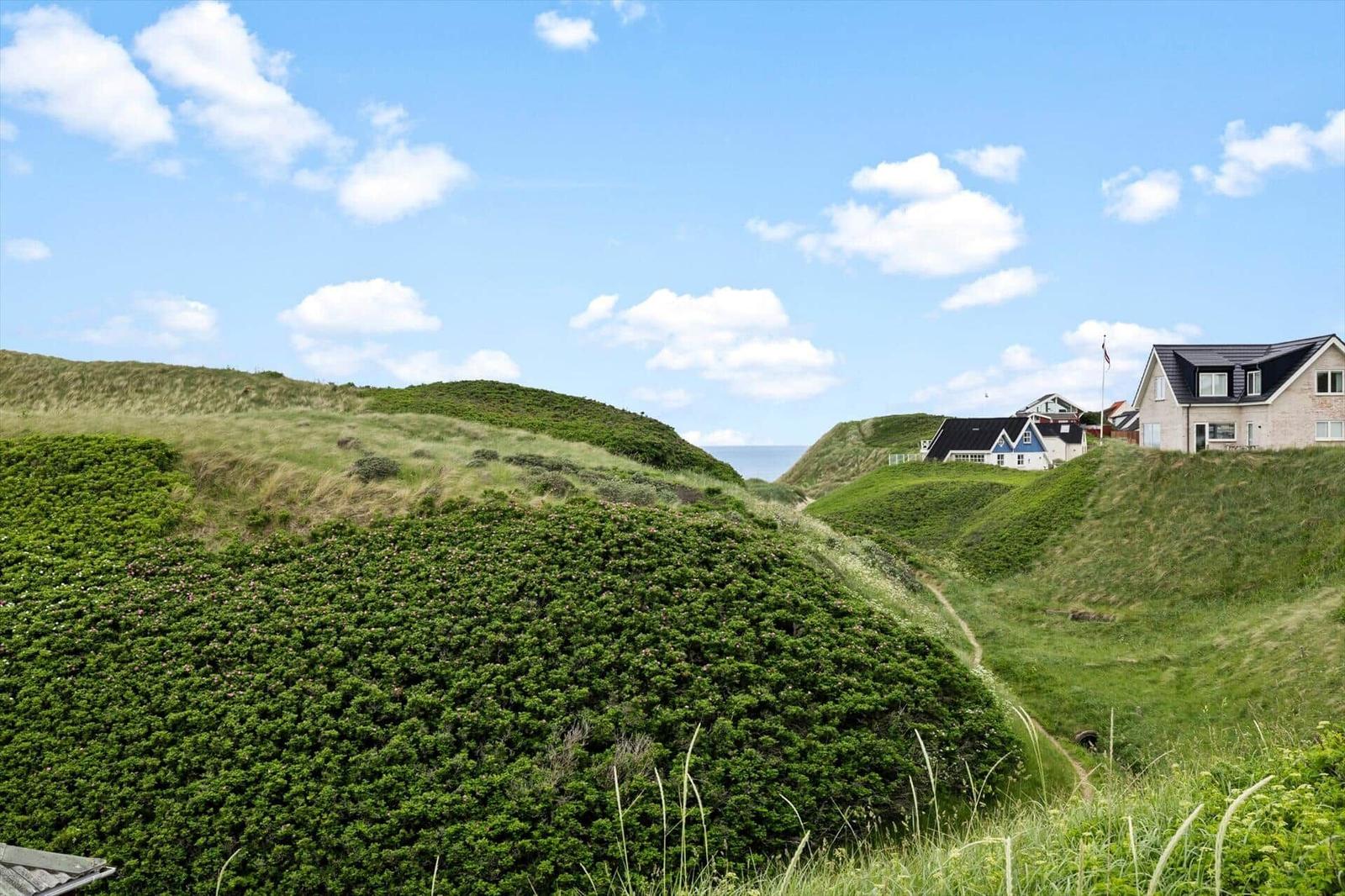 Grüne Dünenlandschaft mit Häusern und Meerblick unter blauem Himmel.
