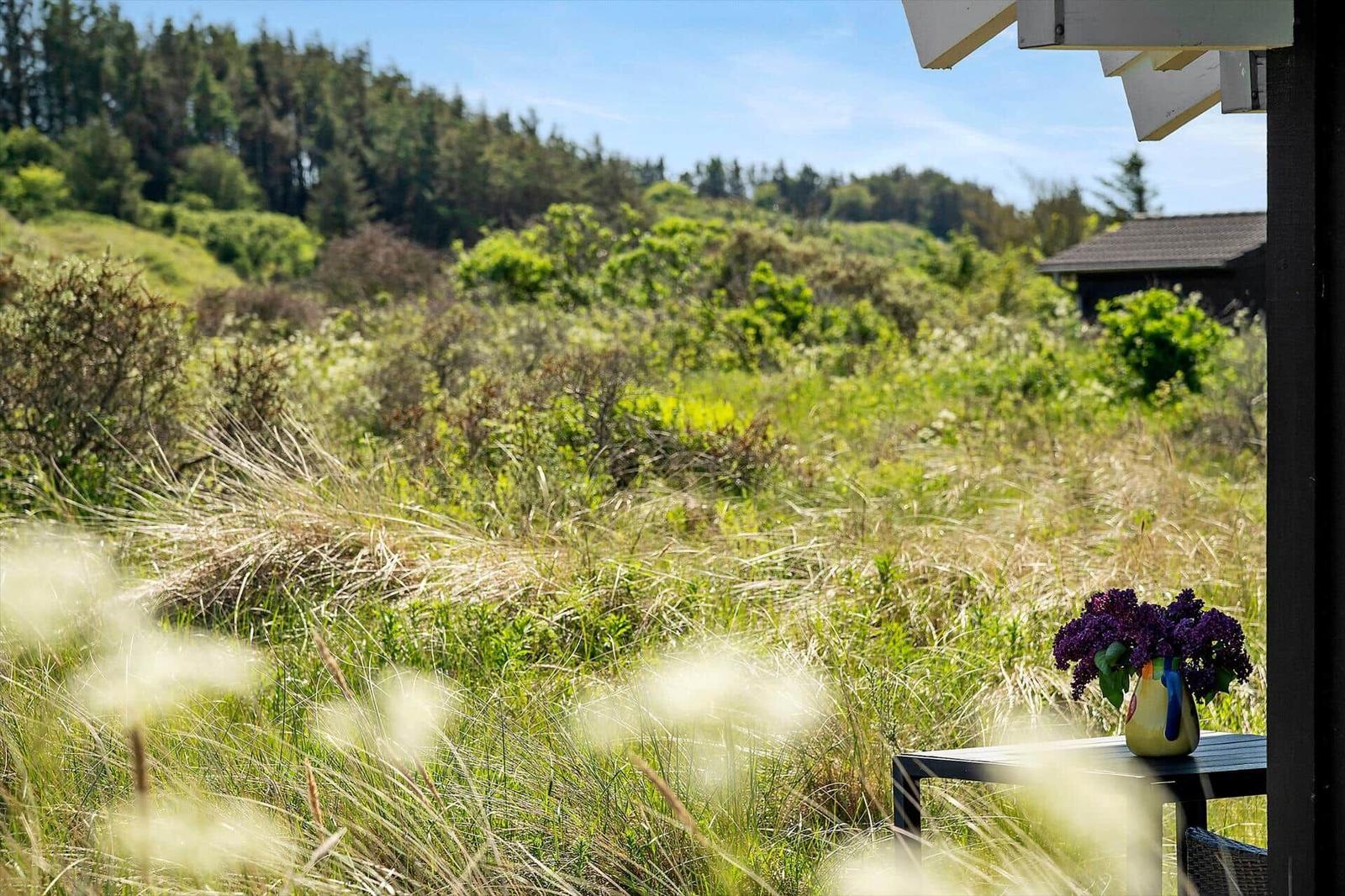 Vor dem Haus: Grasland mit Blumen und Wald im Hintergrund.