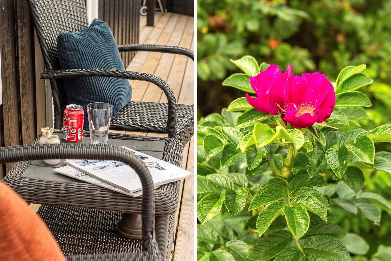 Terrasse mit Stuhl, Kissen und Getränken. Blüte von Rosen im Garten.