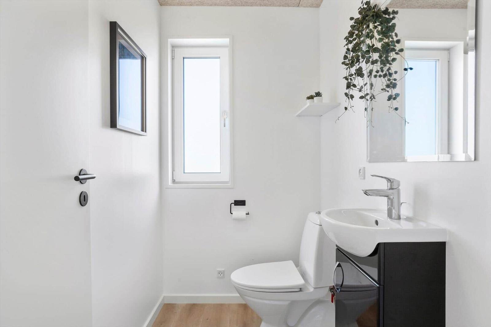 Bathroom with toilet, sink, and window. Hanging plant and mirror.