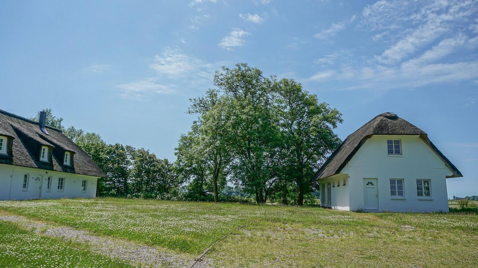 Zwei weiße Häuser mit Strohdächern stehen auf einer grünen Wiese unter blauem Himmel.