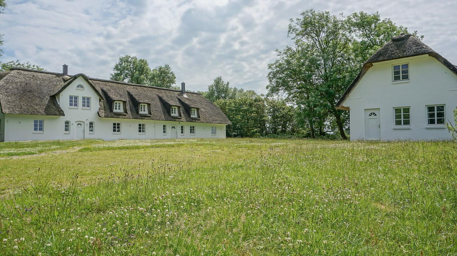Zwei weiße Häuser mit Strohdächern stehen auf einer grünen Wiese.