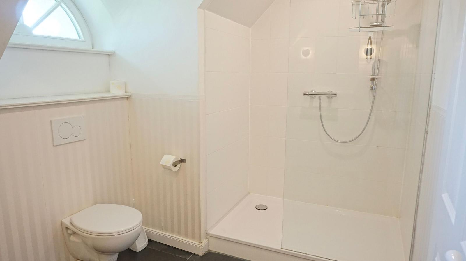 Bad mit Dusche, WC und Fenster. Wandverkleidung mit Streifenmuster.