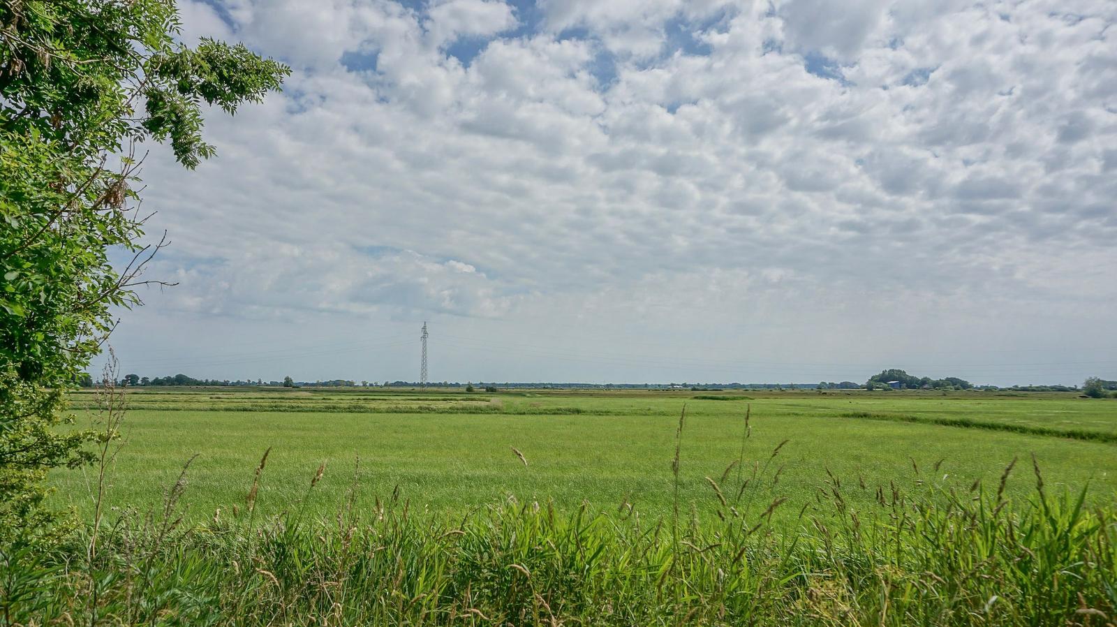 Weitläufiges Grünland unter bewölktem Himmel mit Strommast im Hintergrund.